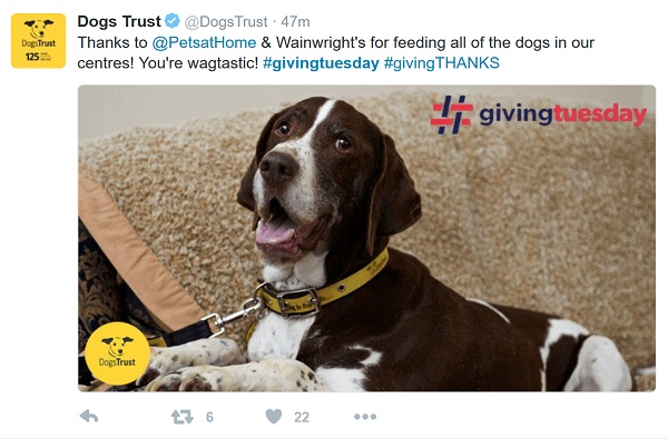 Dog's Trust sending personal thanks